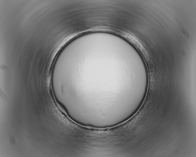 X0000090611284200708071156