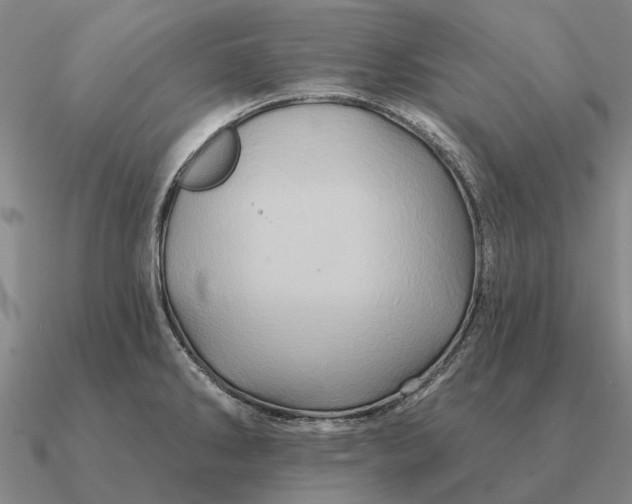 X0000090611286200708071156