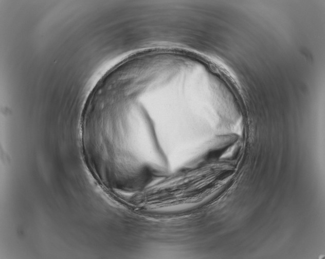 X0000090611287200708071156