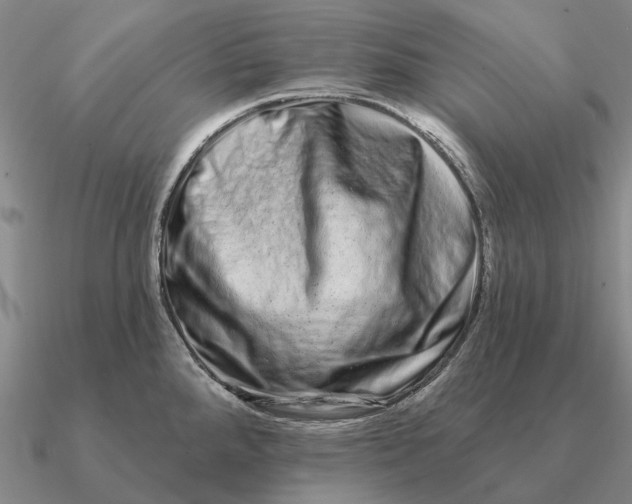 X0000090611288200708071156