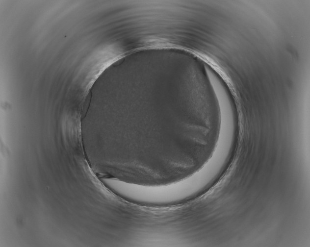 X0000090611289200708071156