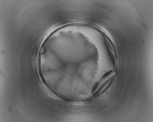 X0000090611291200708071156