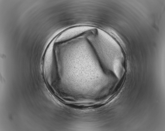 X0000090611292200708071156