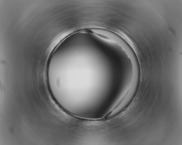 X0000090611293200708071156