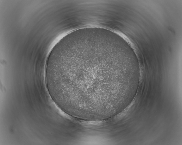 X0000090611294200708071156