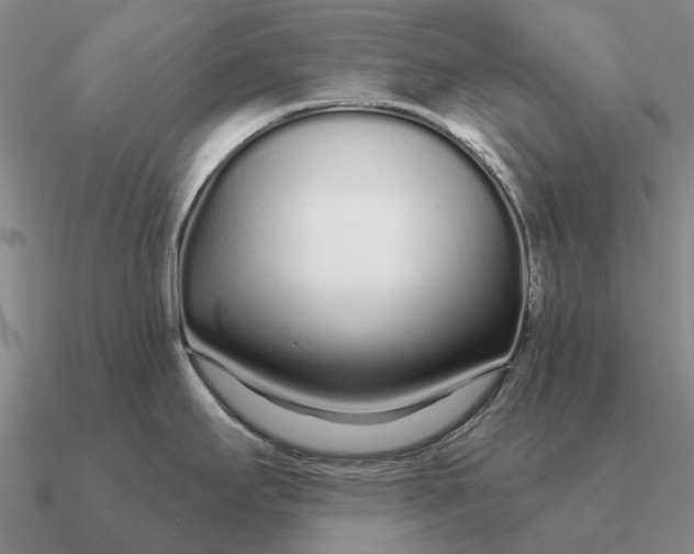 X0000090611295200708071156