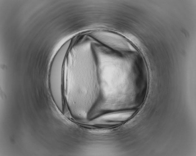 X0000090611296200708071156