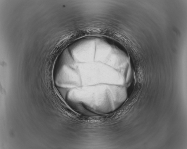 X0000090611297200708071155