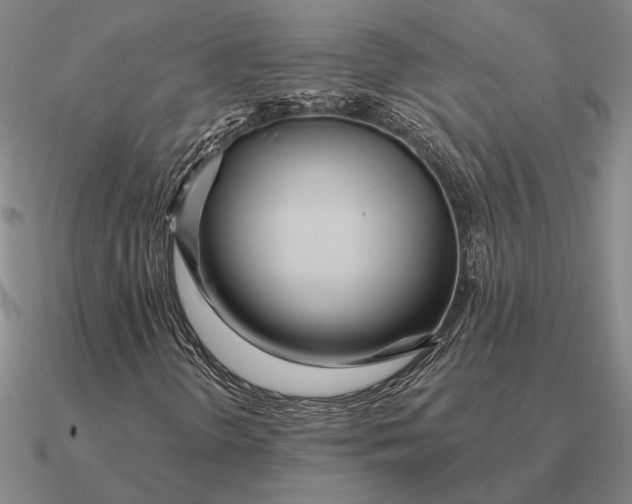 X0000090611298200708071155