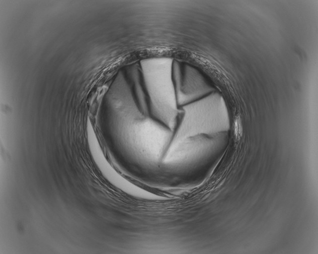 X0000090611299200708071155