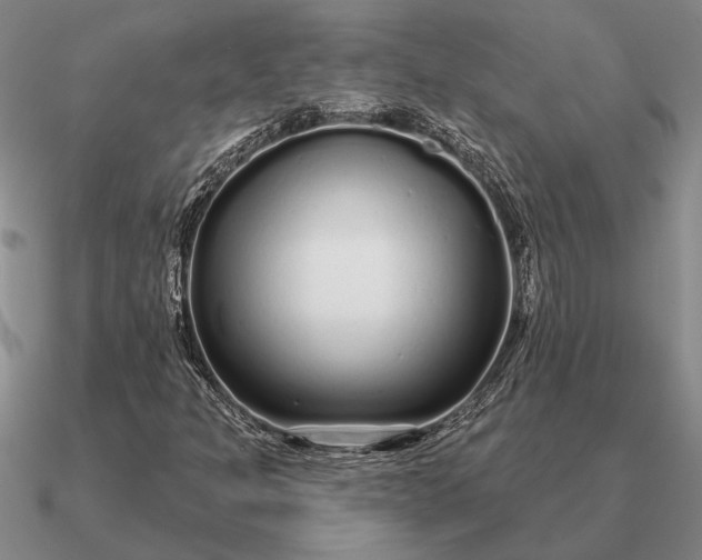 X0000090611301200708071155