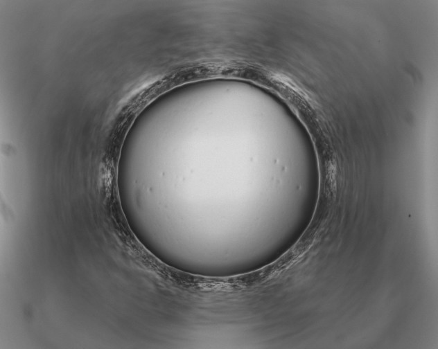 X0000090611302200708071155