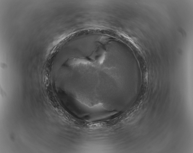 X0000090611303200708071155