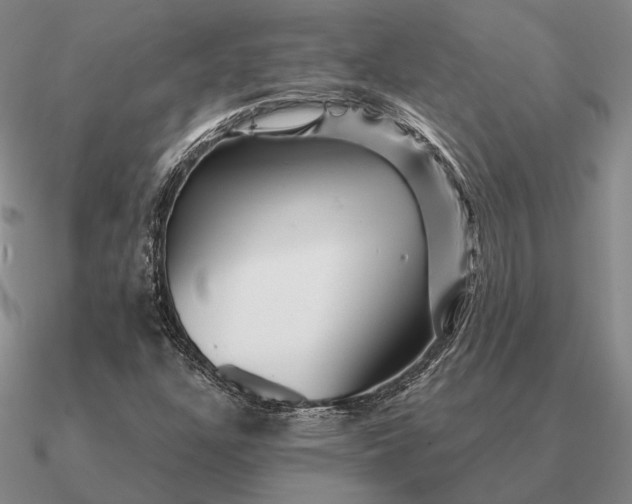 X0000090611304200708071155