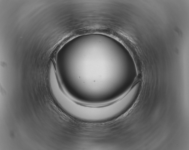 X0000090611305200708071155