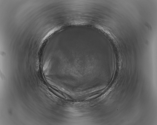 X0000090611306200708071155