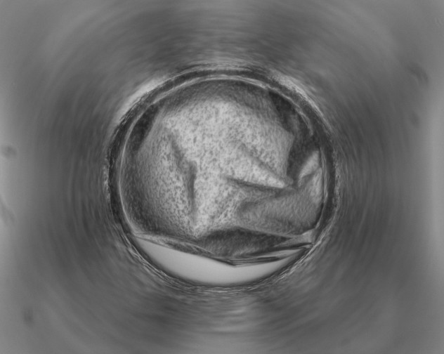 X0000090611307200708071155