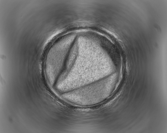 X0000090611309200708071155