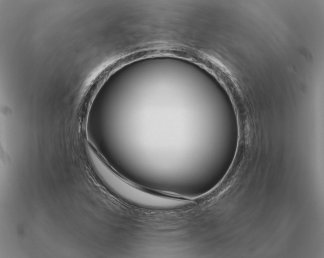 X0000090611310200708071155