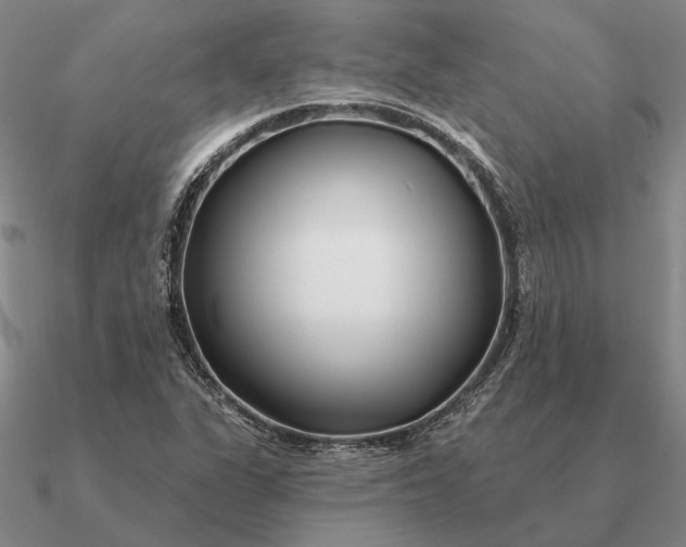 X0000090611311200708071155