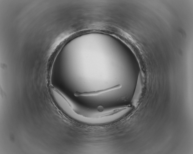 X0000090611312200708071155