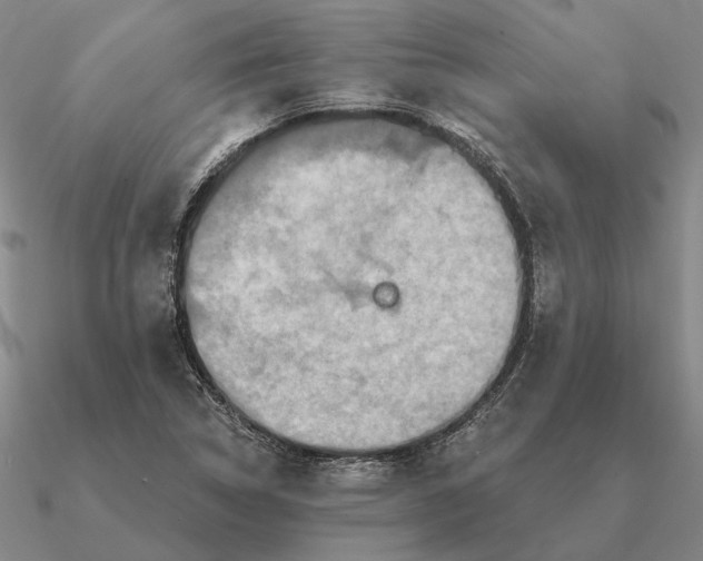 X0000090611314200708071155