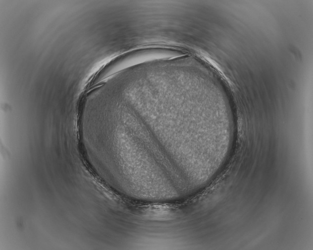 X0000090611315200708071155