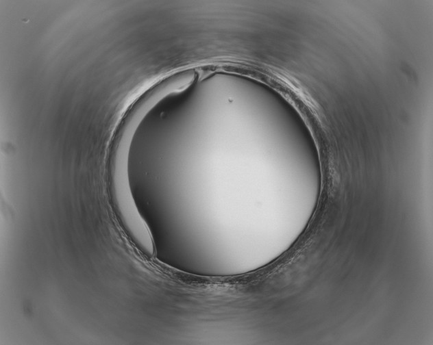 X0000090611316200708071155