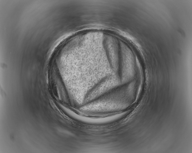 X0000090611318200708071155