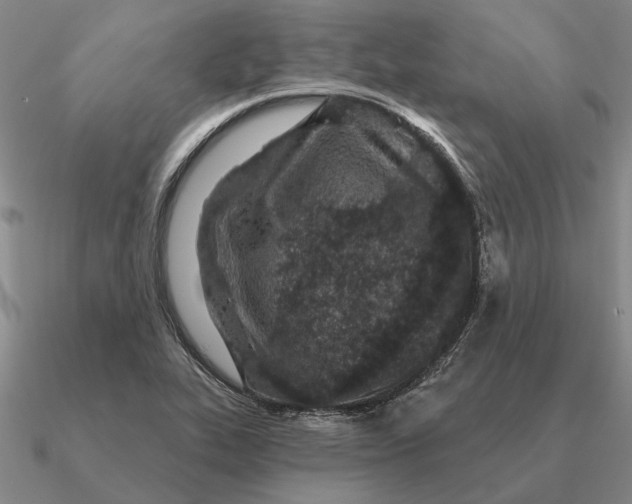 X0000090611319200708071155