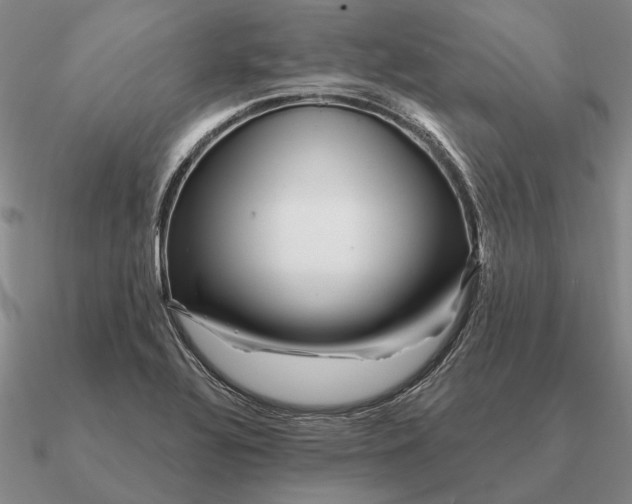 X0000090611320200708071155