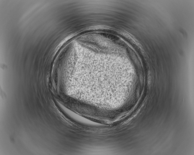 X0000090611321200708071155