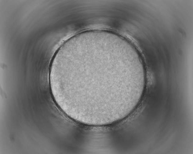 X0000090611322200708071155