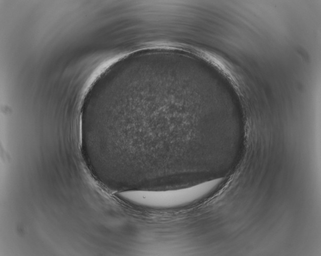 X0000090611323200708071155