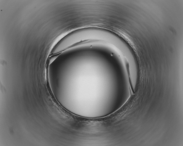 X0000090611324200708071155