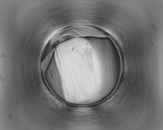 X0000090611325200708071155