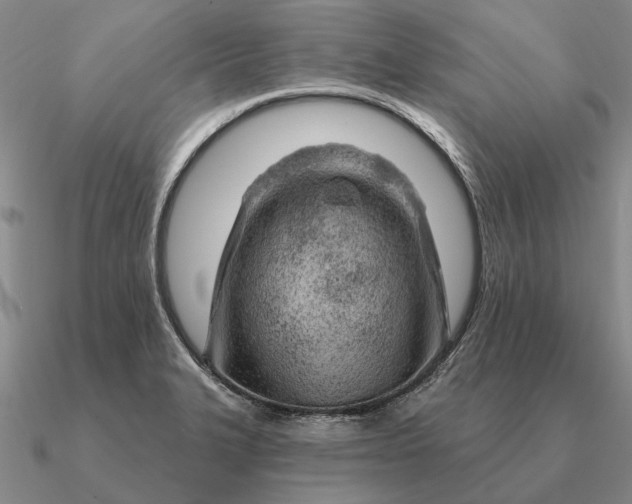 X0000090611327200708071155