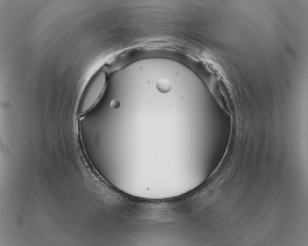 X0000090611328200708071155