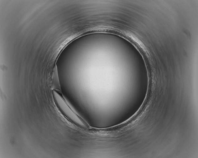 X0000090611329200708071155