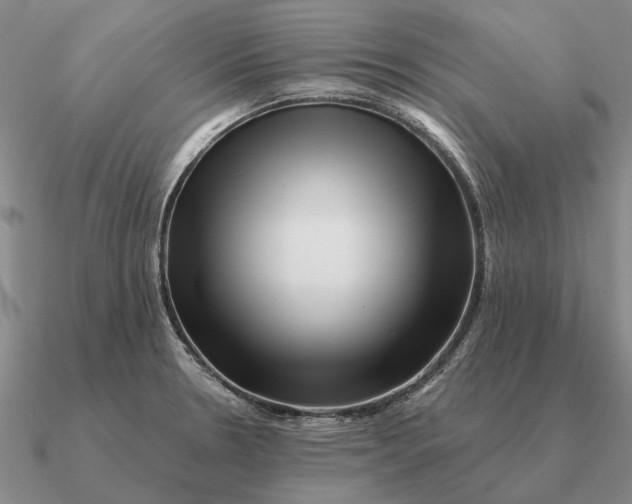 X0000090611330200708071155