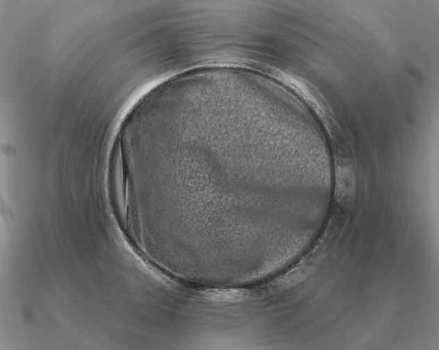 X0000090611331200708071155