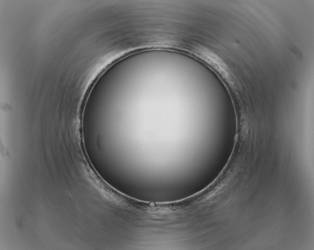 X0000090611332200708071155