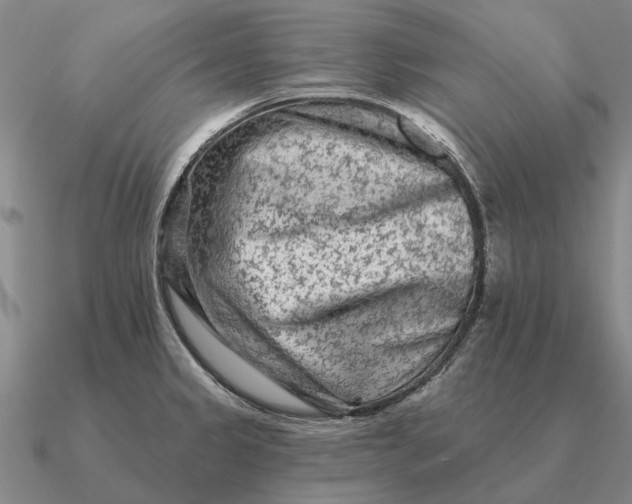 X0000090611333200708071155