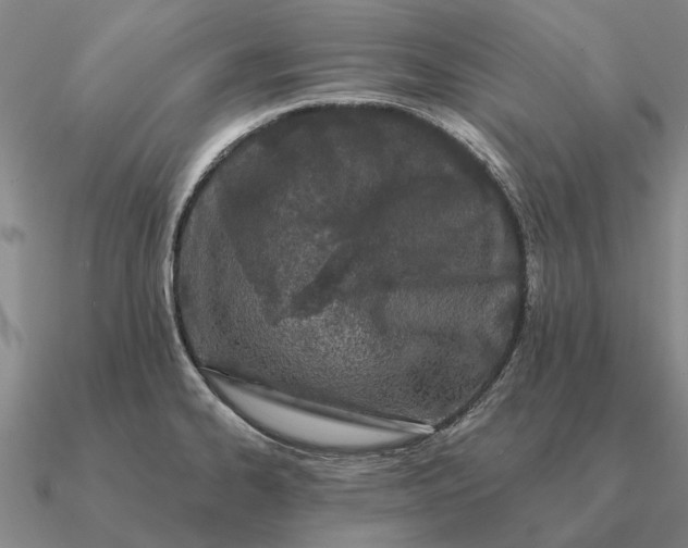 X0000090611334200708071155