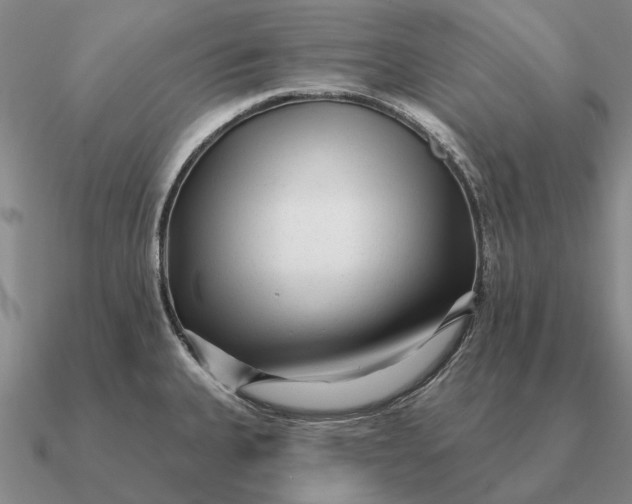 X0000090611335200708071155