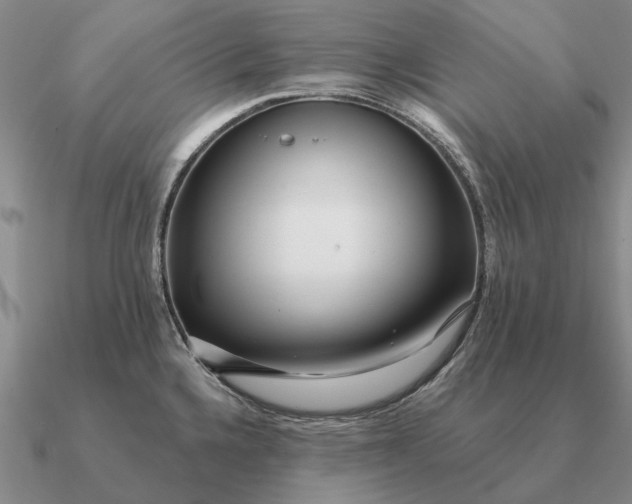 X0000090611336200708071155