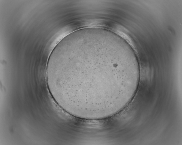 X0000090611338200708071155