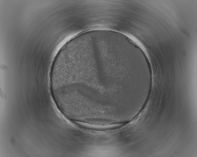 X0000090611341200708071155