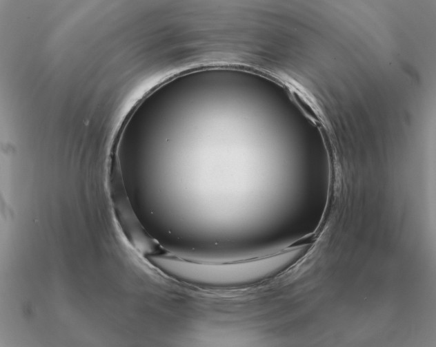 X0000090611342200708071156