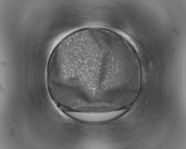 X0000090611343200708071156